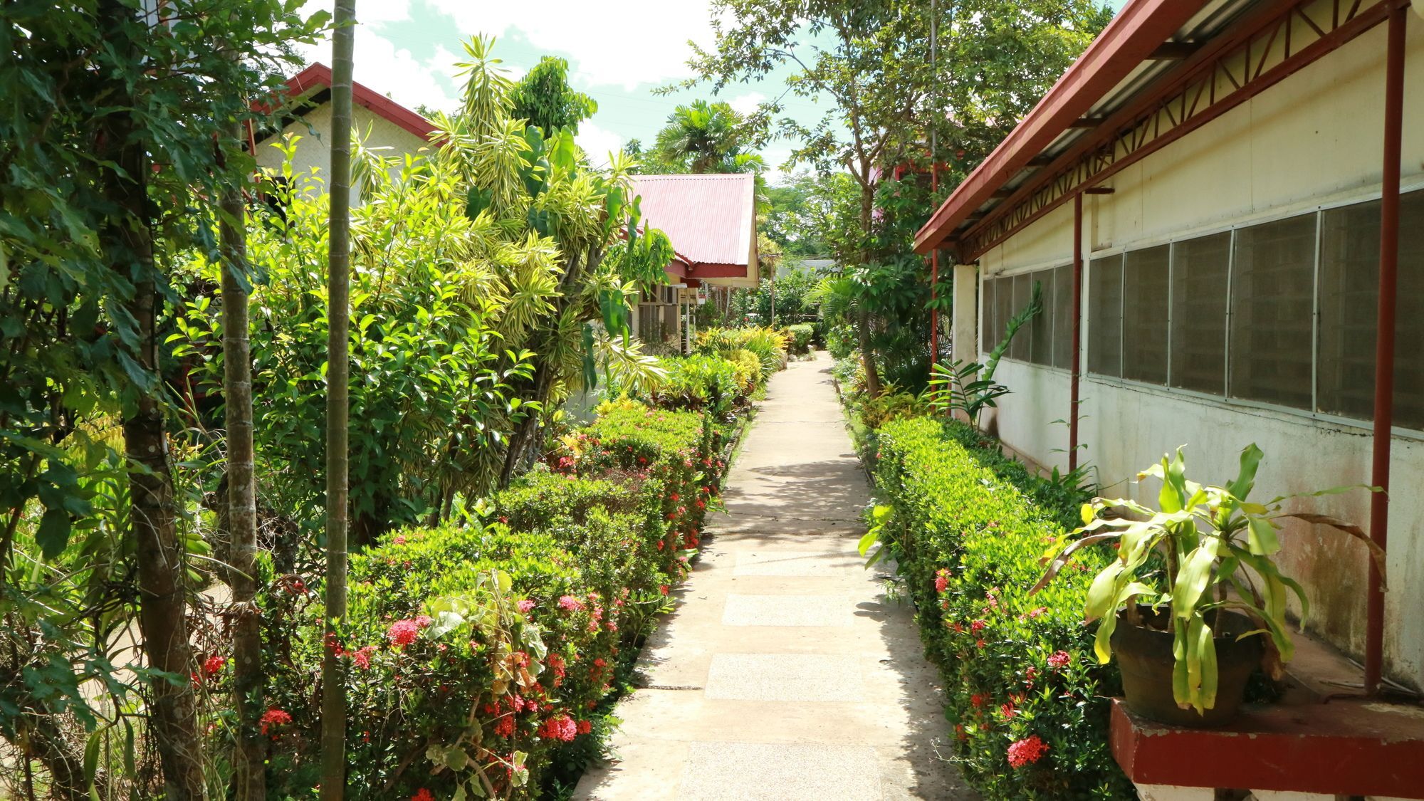 Bulwagang Princesa Tourist Inn Puerto Princesa Εξωτερικό φωτογραφία